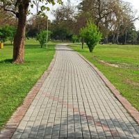 Jogging Track